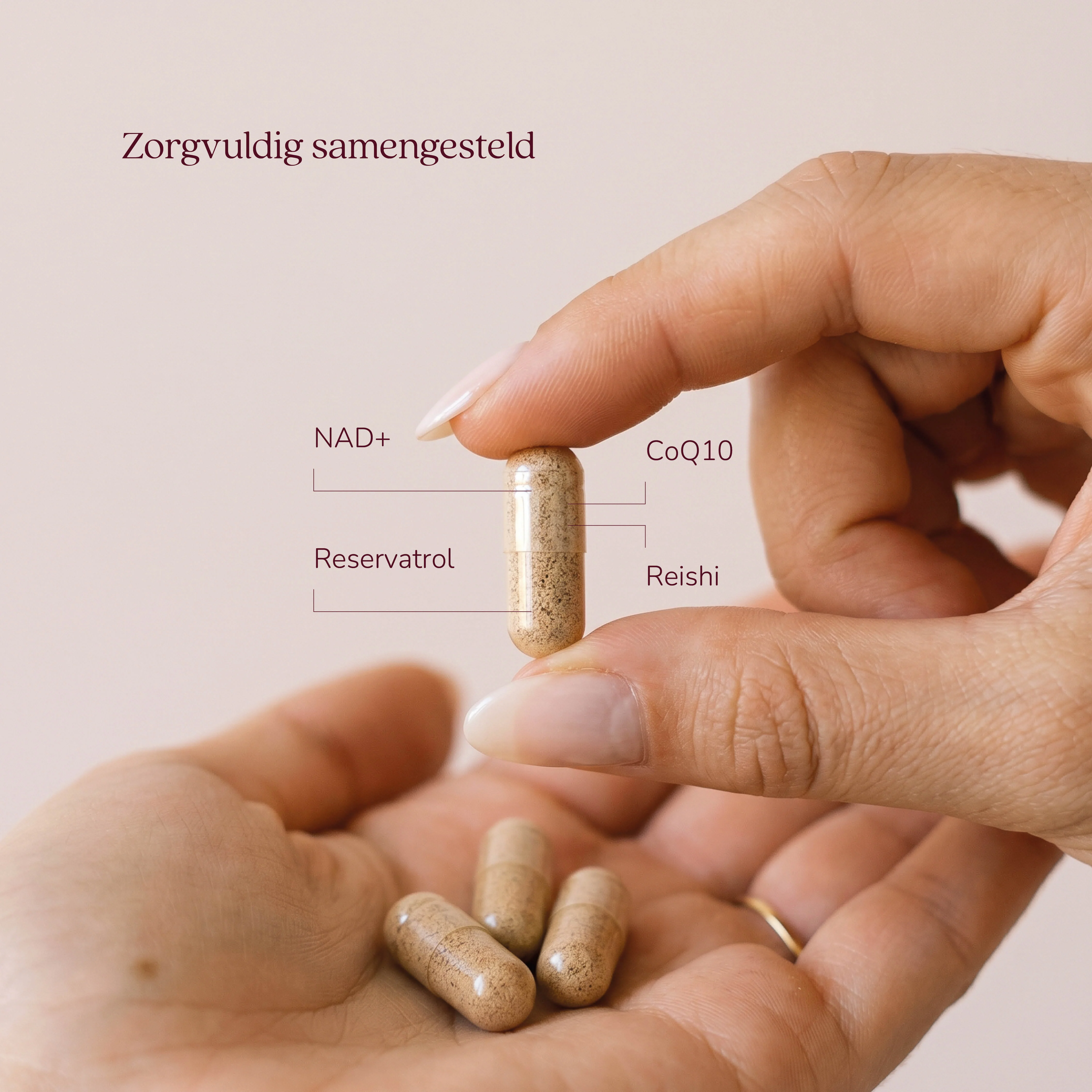 Vitality 40+ - Image 3